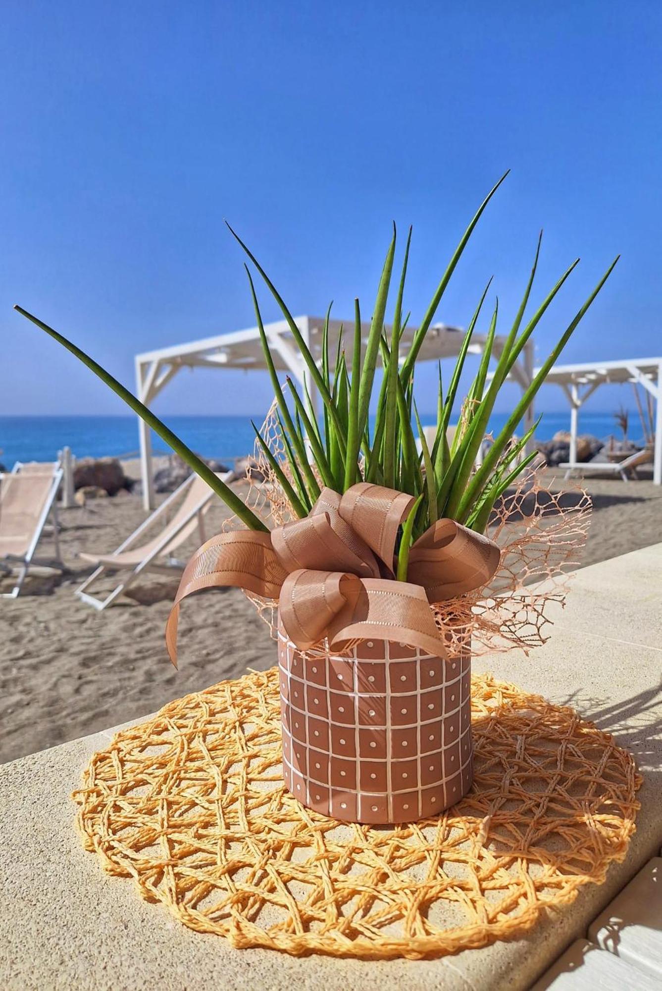 Villa G&G Calabria Кампора Сан Джовани Екстериор снимка